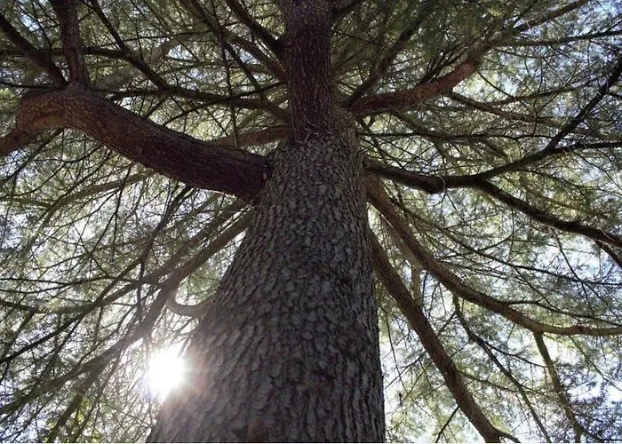 Сasa de vacaciones La Maison Arouet